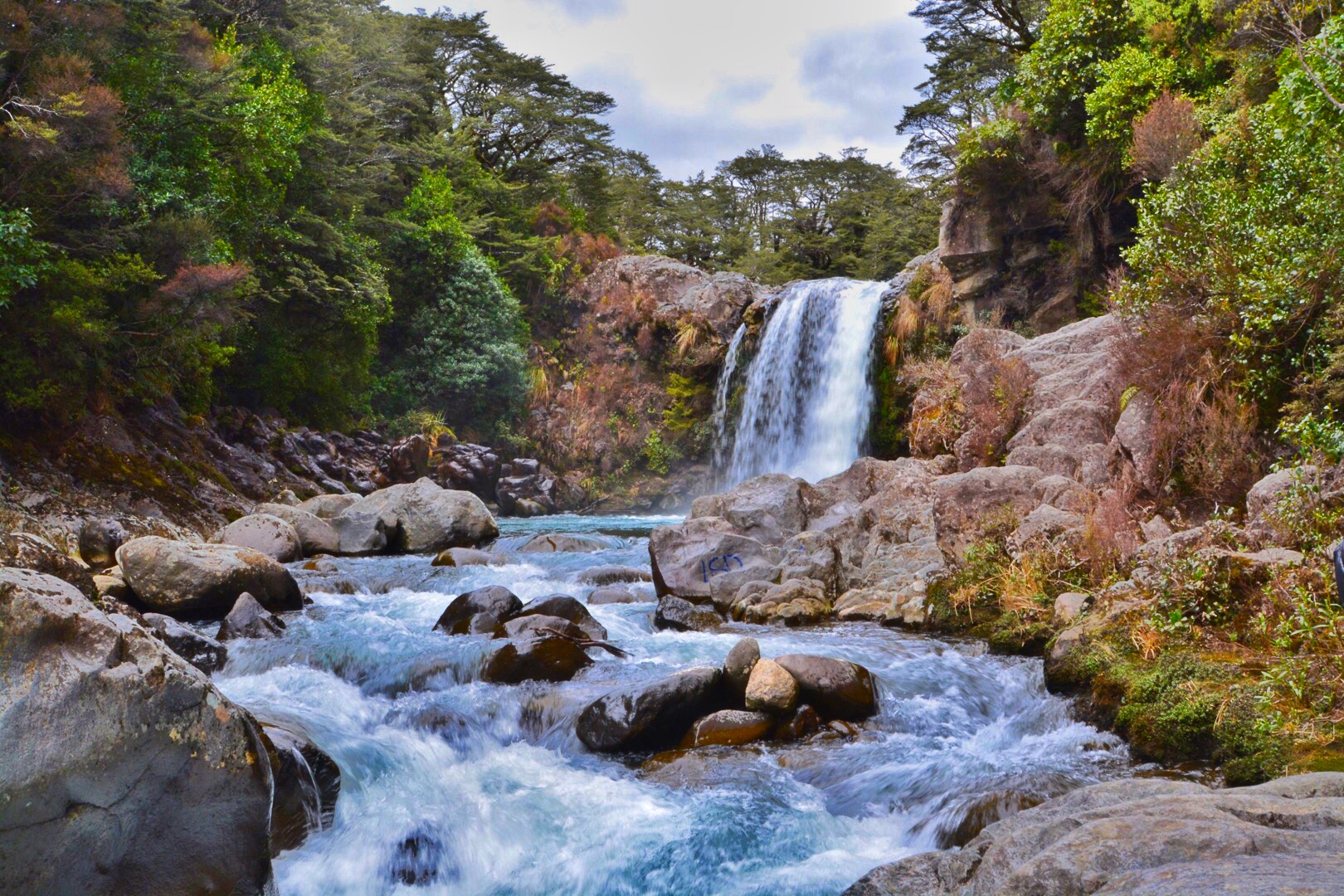 New Zealand Falls