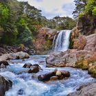 New Zealand Falls