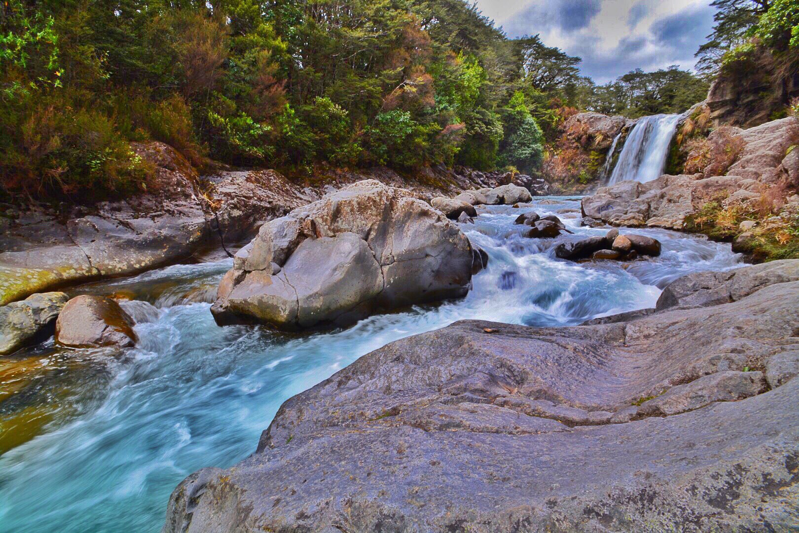 New Zealand Falls