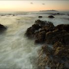 New Zealand - Kapiti Island