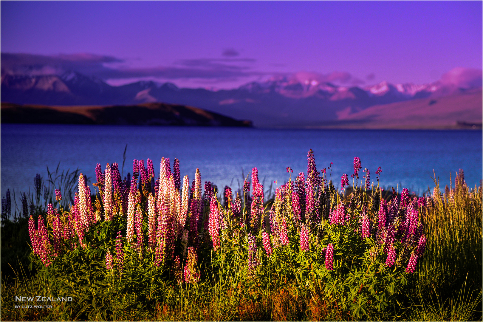 New Zealand - Lake Tekapo