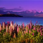 New Zealand - Lake Tekapo