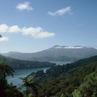 New Zealand - Marlborough Sounds - Queen Charlotte Track