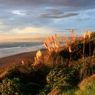 New Zealand-Piha-Wainui Bay