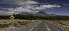 New Zealand Street I