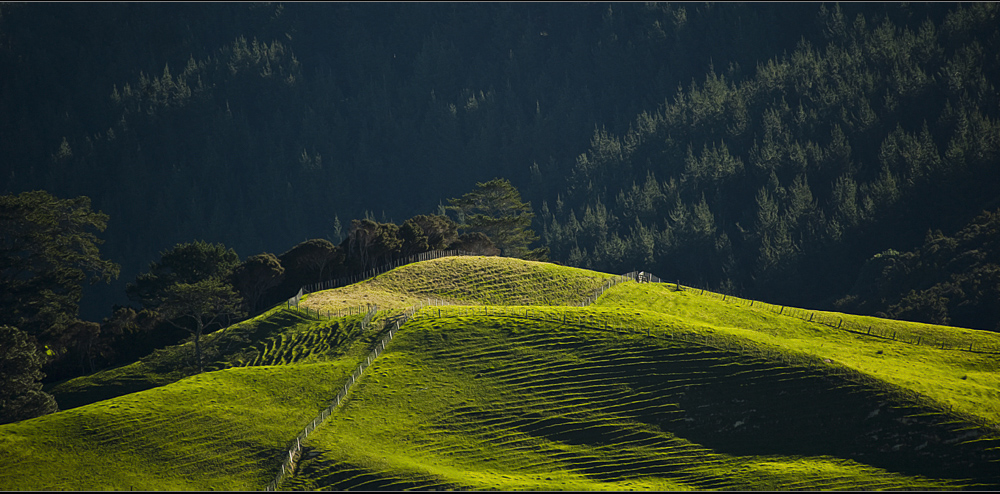 new zealand: that`s farmland