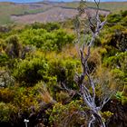 New Zealand - Tongariro National Park