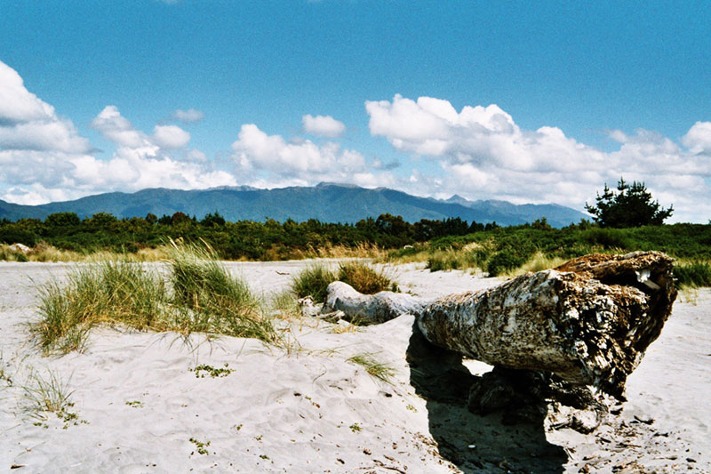 New Zealand Westcoast of the South Island