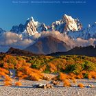 New Zealand, Westland National Park