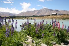 New Zealand_Lake Tekapo