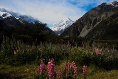 New Zealand_Mt.Cook