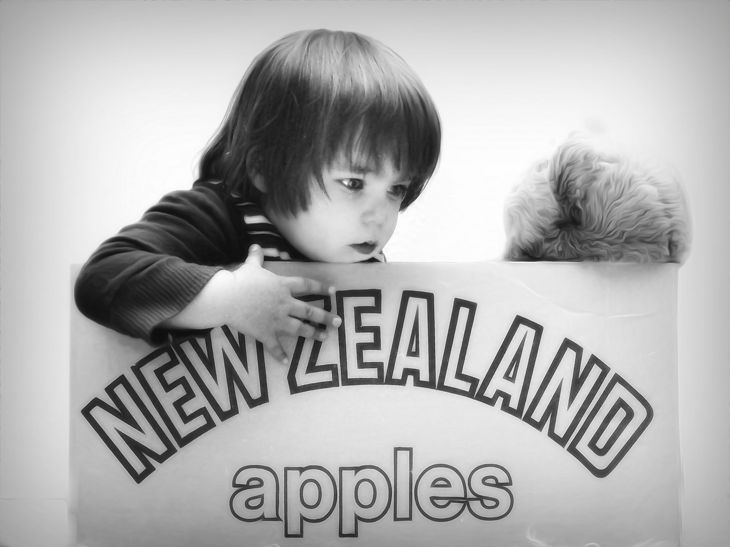 new-zealands-apples