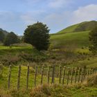 New Zealands beautifull hills