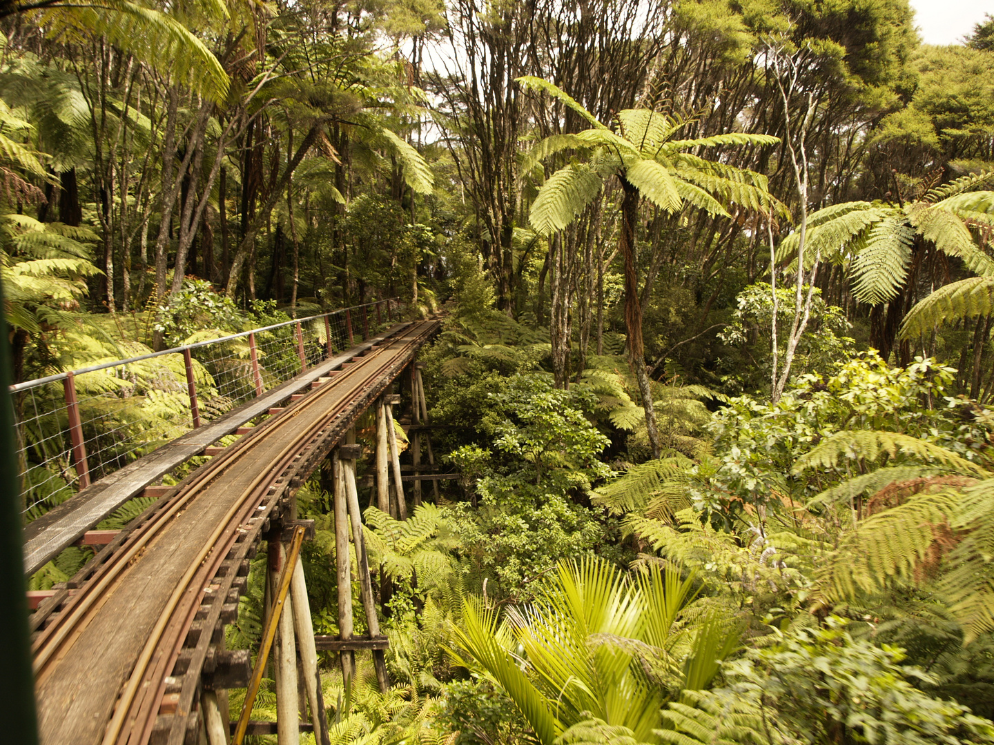 New Zealand`s only narrow-gauge mountain railway