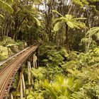 New Zealand`s only narrow-gauge mountain railway