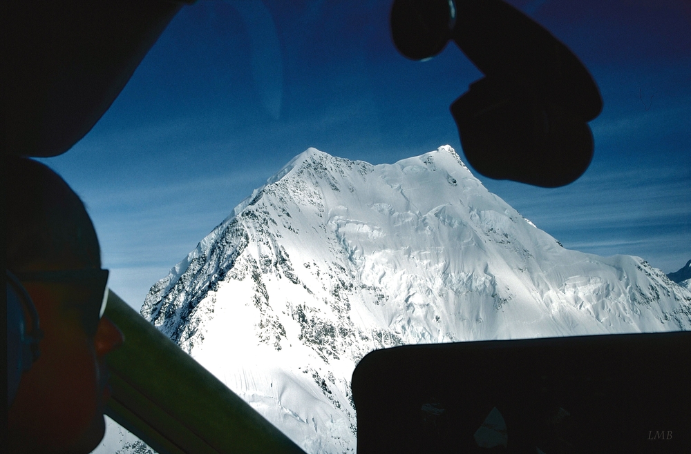 New Zealand's Roof