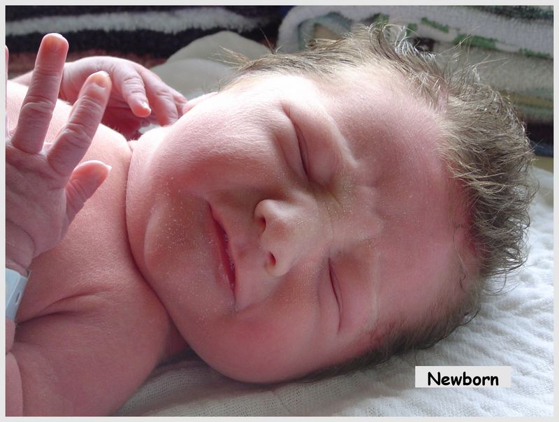 newborn