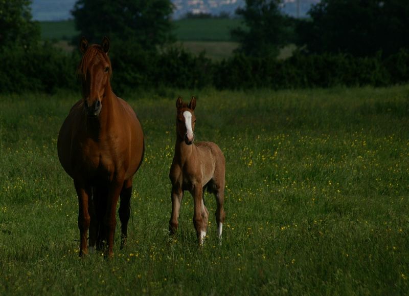 Newborn and his mother