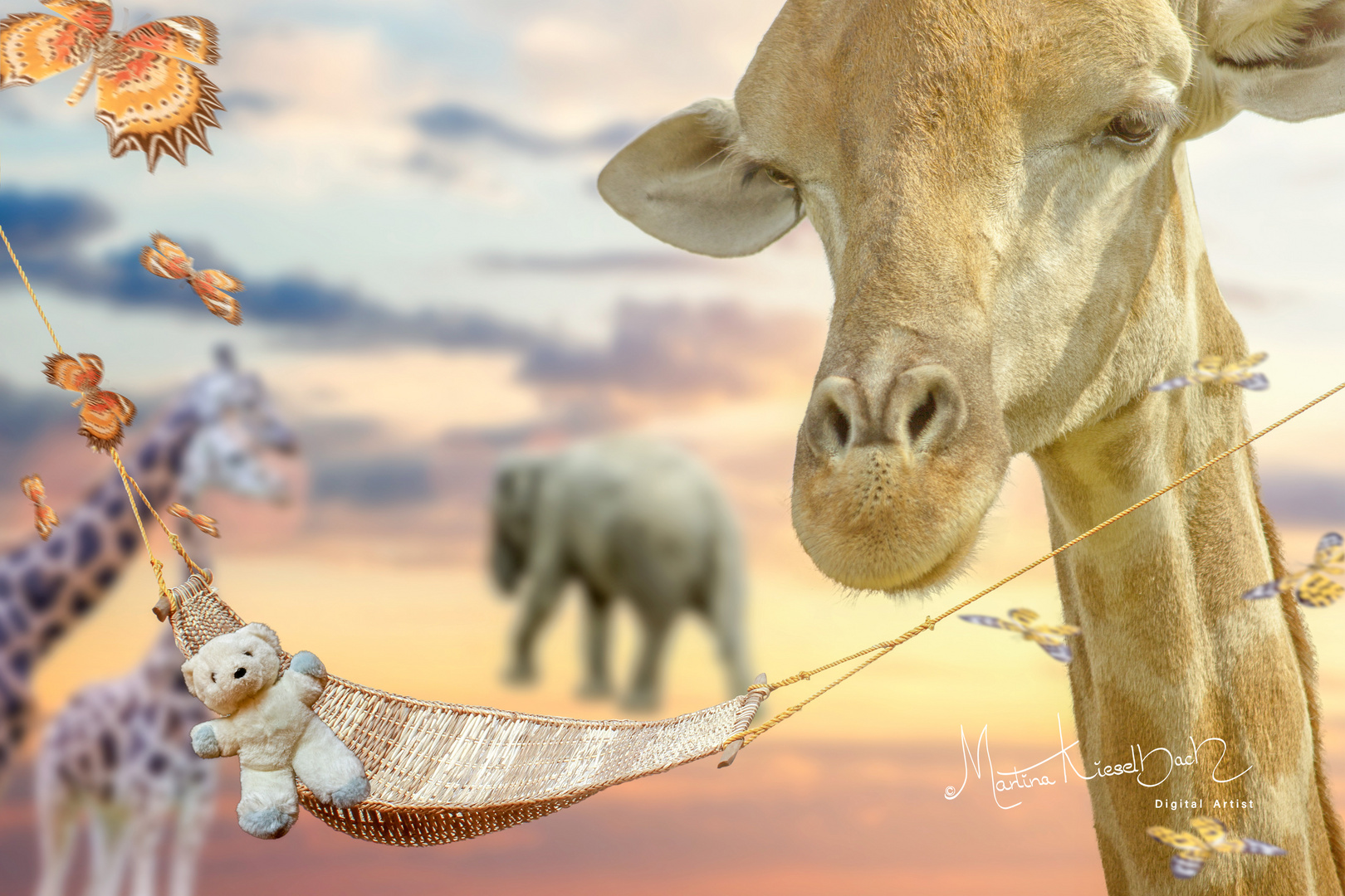 Newborn backdrop safari.