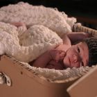 Newborn Benedikt