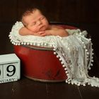 Newborn in the Bucket