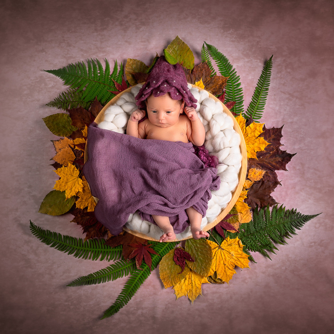 Newborn-Shooting