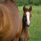 Newborn(2) and his mother