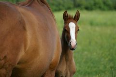 Newborn(2) and his mother