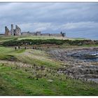 Newcastle #13 Dunstanburgh Castle