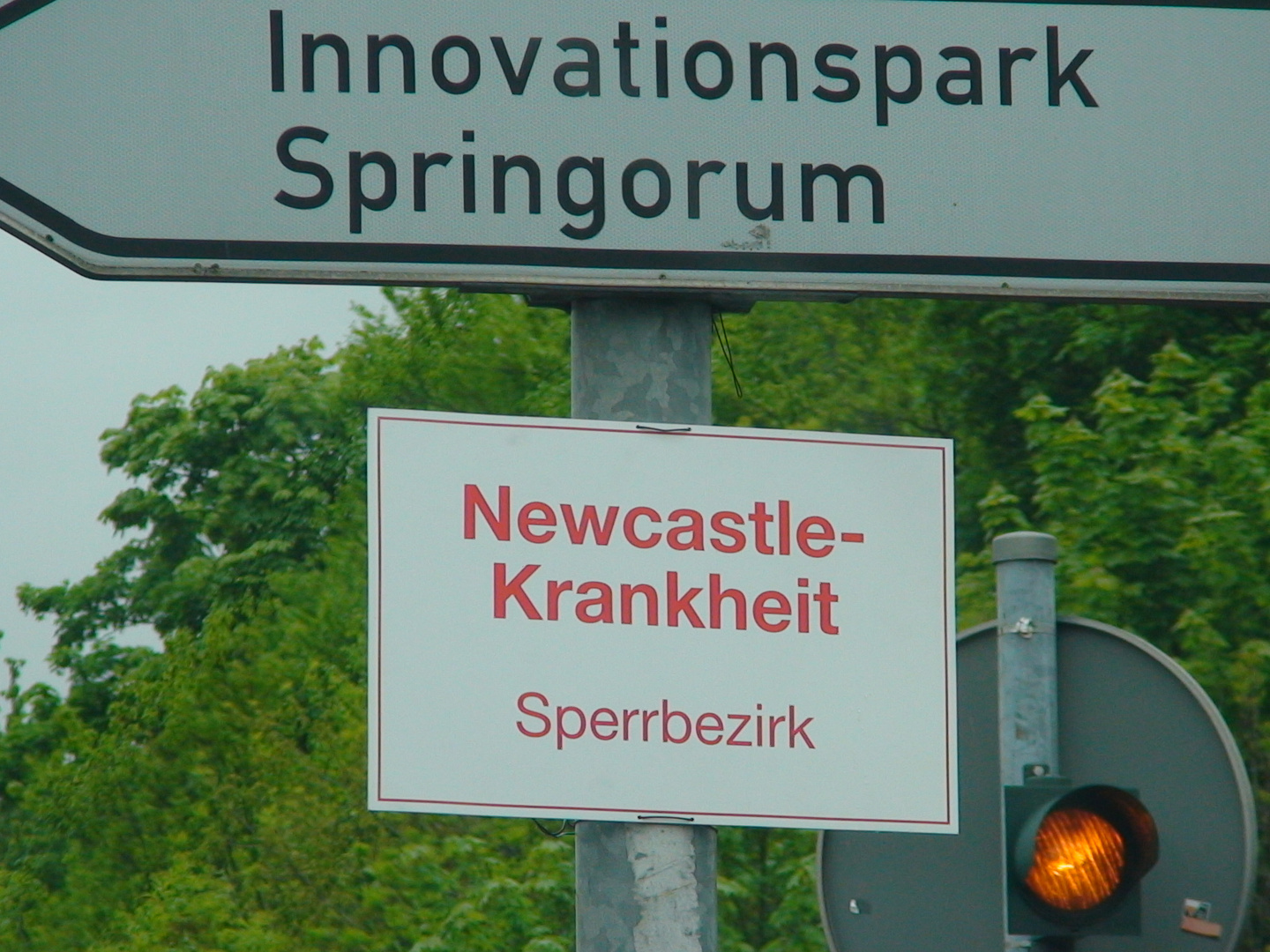 Newcastle-Krankheit-Sperrbezirk