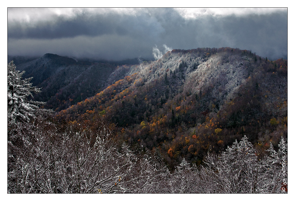 Newfound Gap