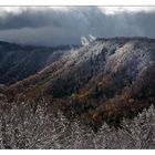 Newfound Gap