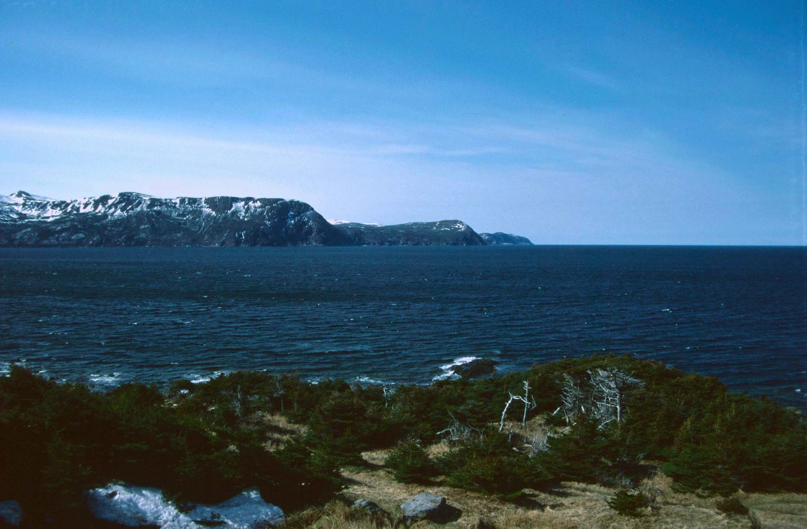 Newfoundland - 1995 (3)