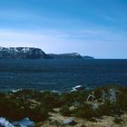 Newfoundland - 1995 (3)