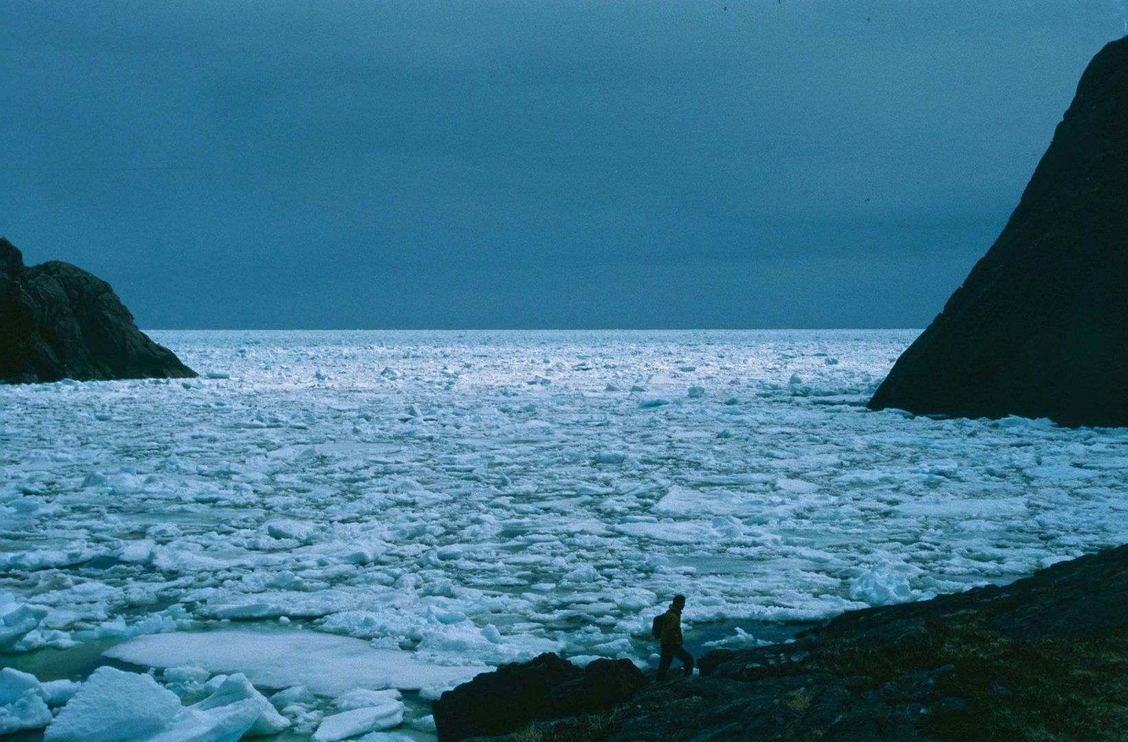 Newfoundland - 1995 (5)