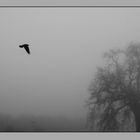 Newgrange Fog