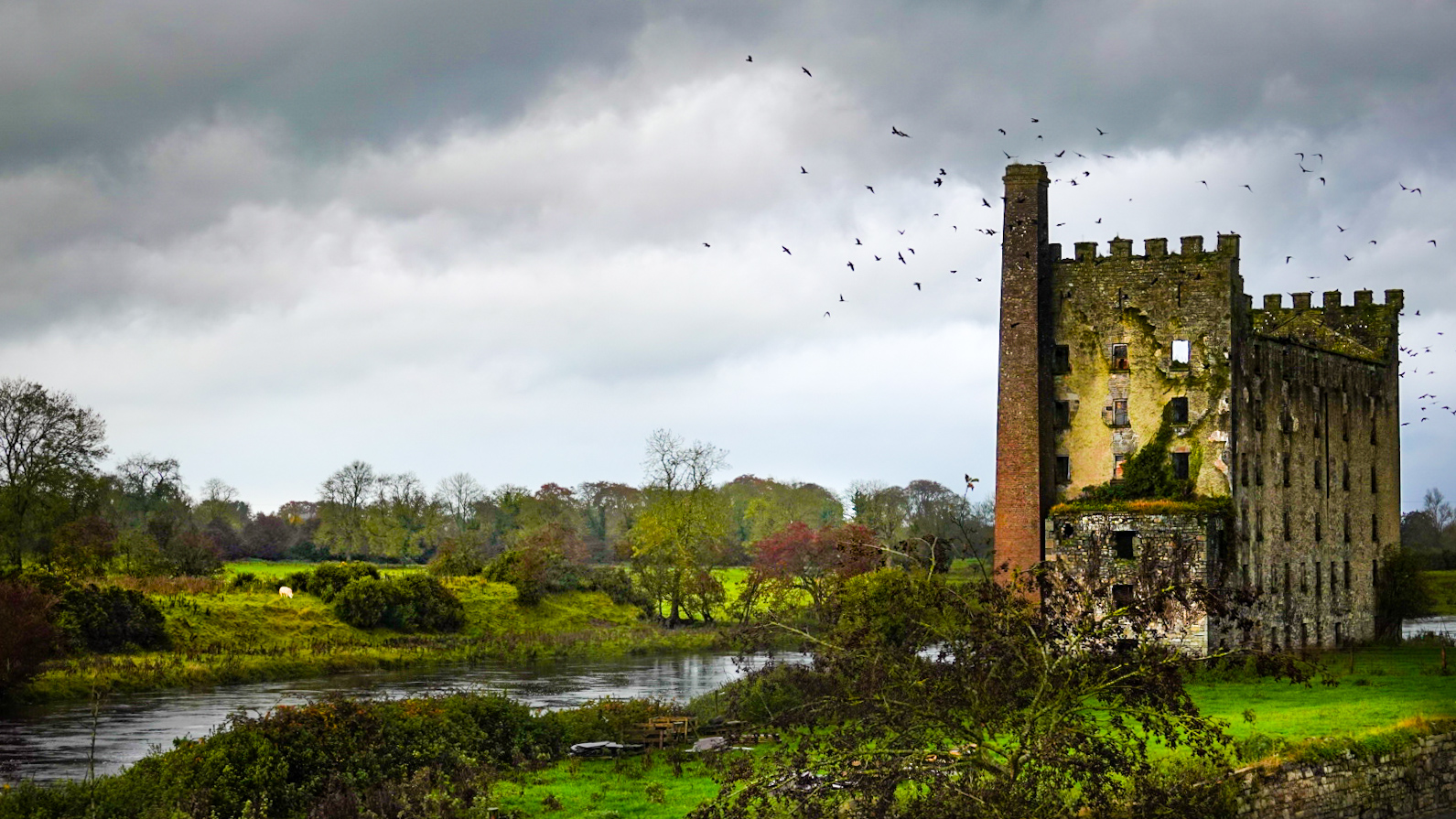 Newhaggard Mill - Irland