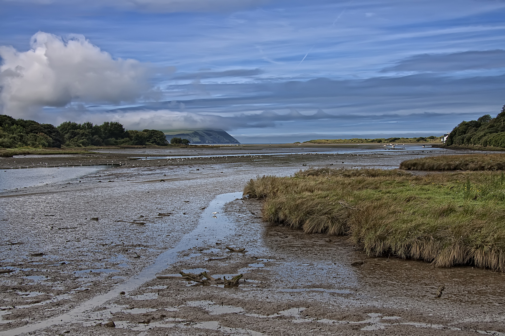 Newport Bay I