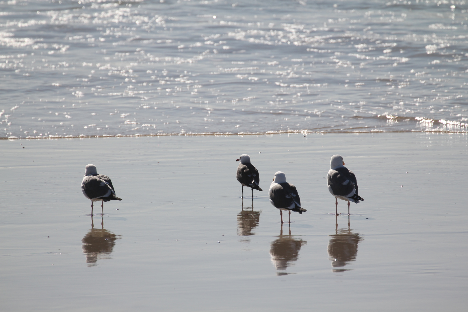 Newport Beach