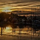 Newport Harbor