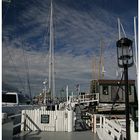 Newport Harbour-View
