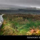 Newport In The Rain