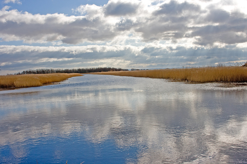 Newport Wetlands