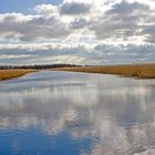 Newport Wetlands