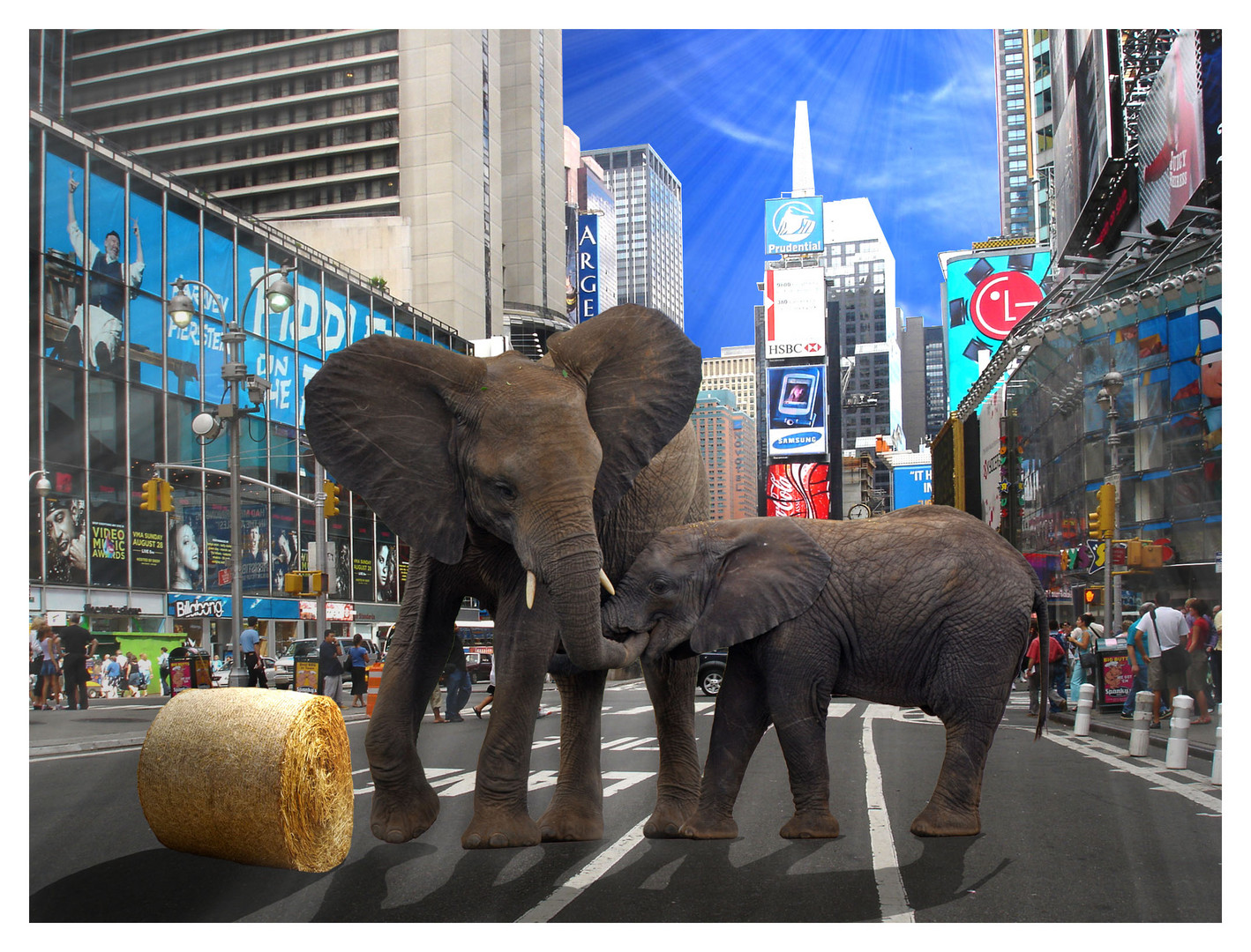 News: Elephants vs. Time Square