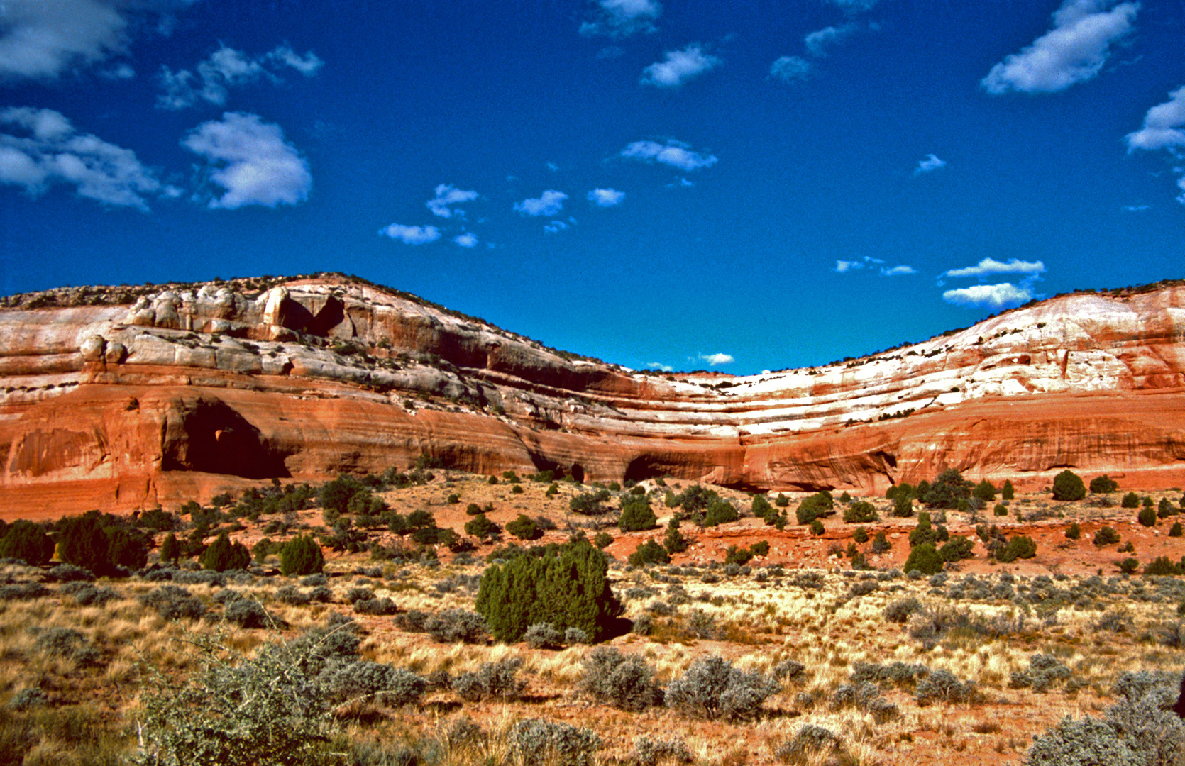 Newspaper Rock, Utah 1989 Foto & Bild usa, world, natur Bilder auf