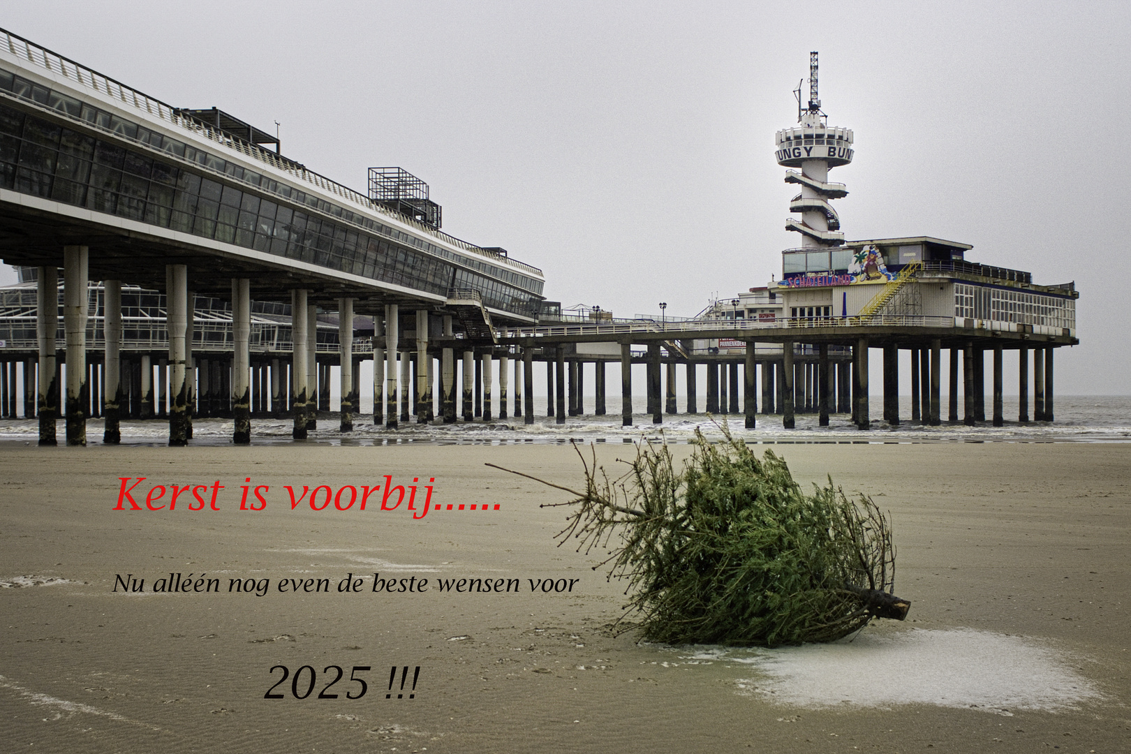 Newyear 2025