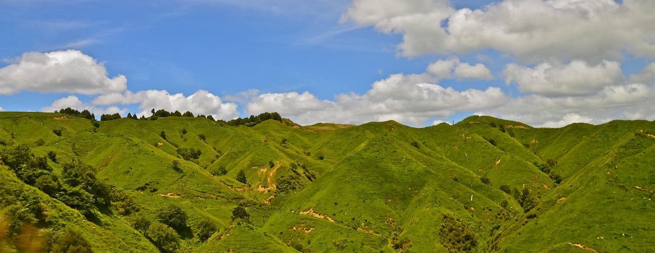 NewZealand