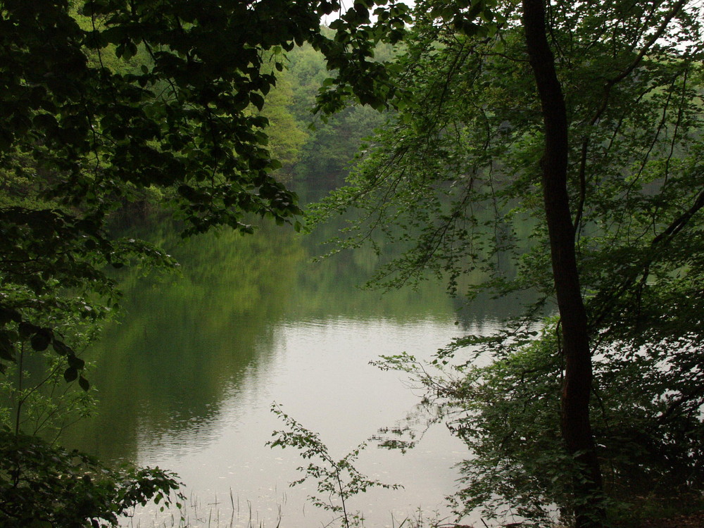 Neyetalsperre im Herbst