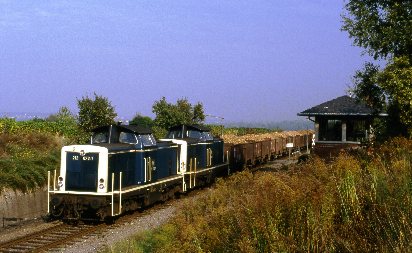 Ng 65647 in Freinsheim